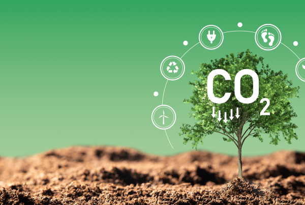 carbon saving, reduction