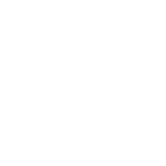 white star icon